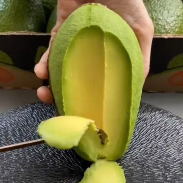 

Alpukat mentega ukuran setandar 2kg/5kg bergaransi 100%