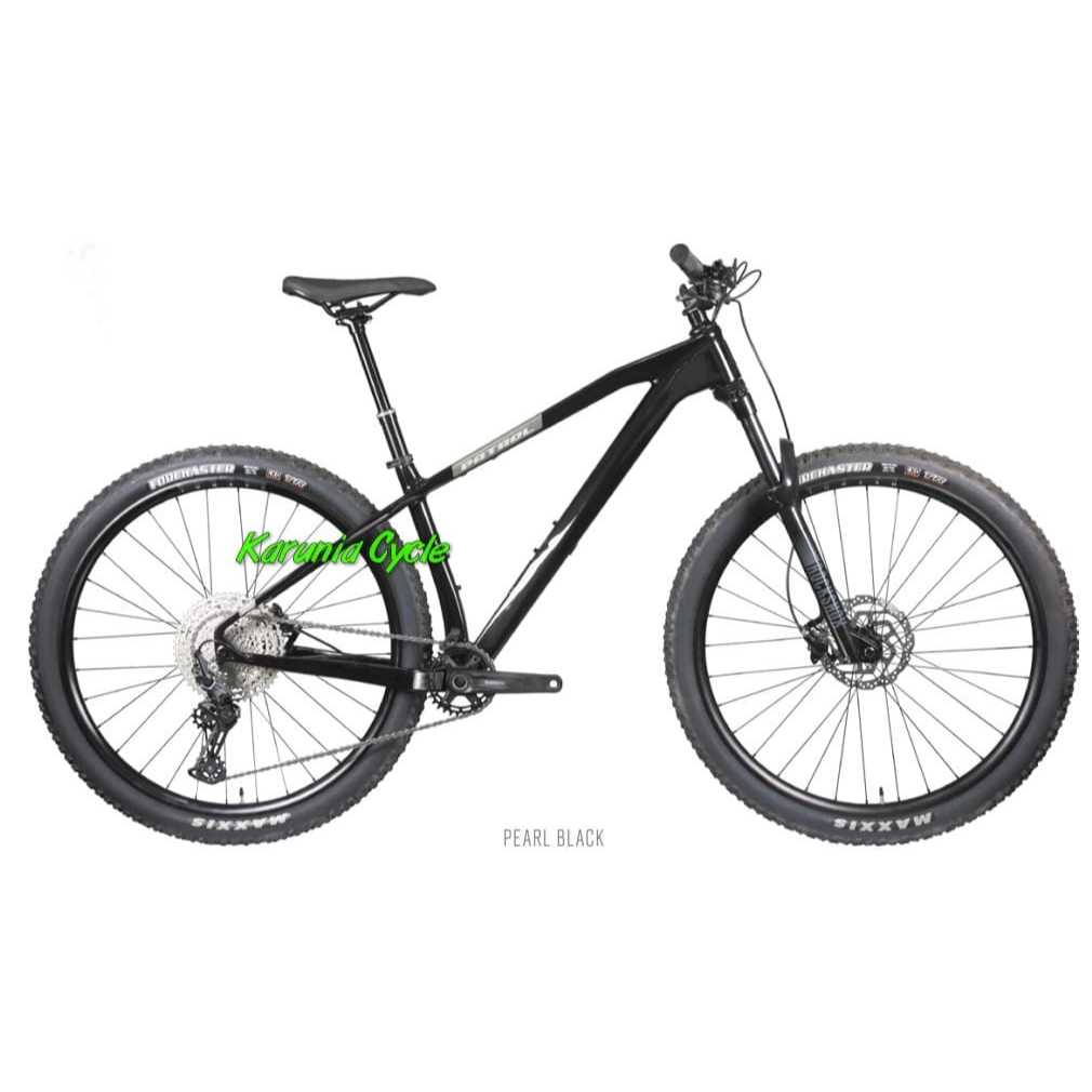 Sepeda PATROL C093 CARBON 12 SPEED SHIMANO HYDRAULIC MTB 29 Inch