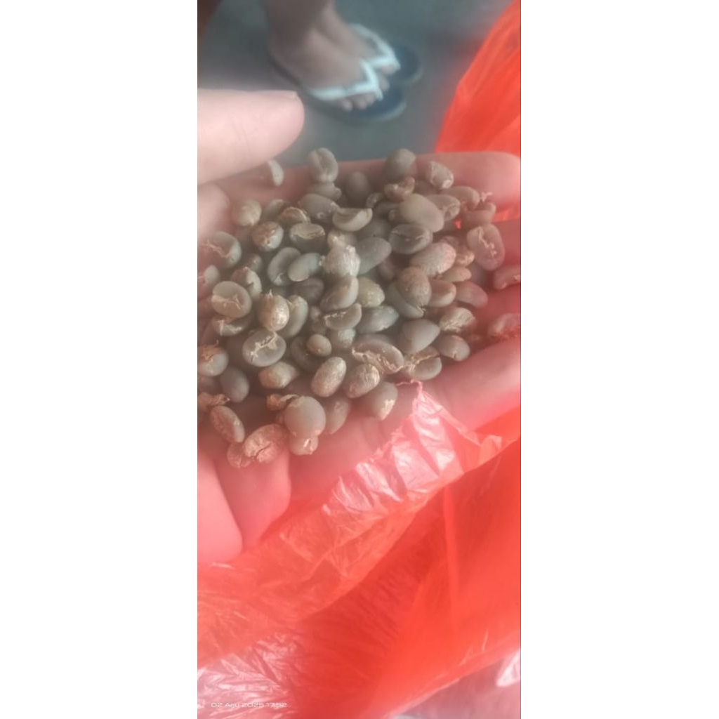 

Ken's Coffee Arabica Gayo 1 kg