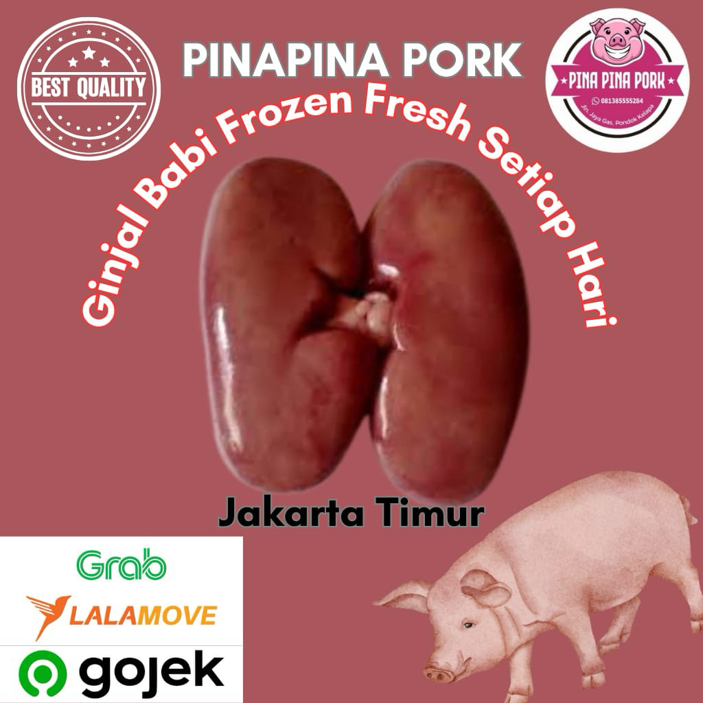

Ginjal Babi Frozen