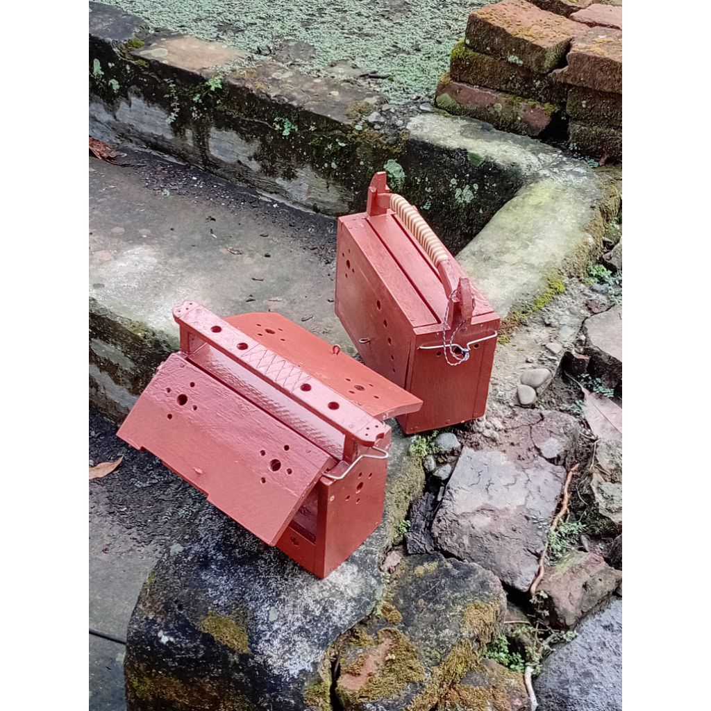 Box burung kutilang / kotak pikat
