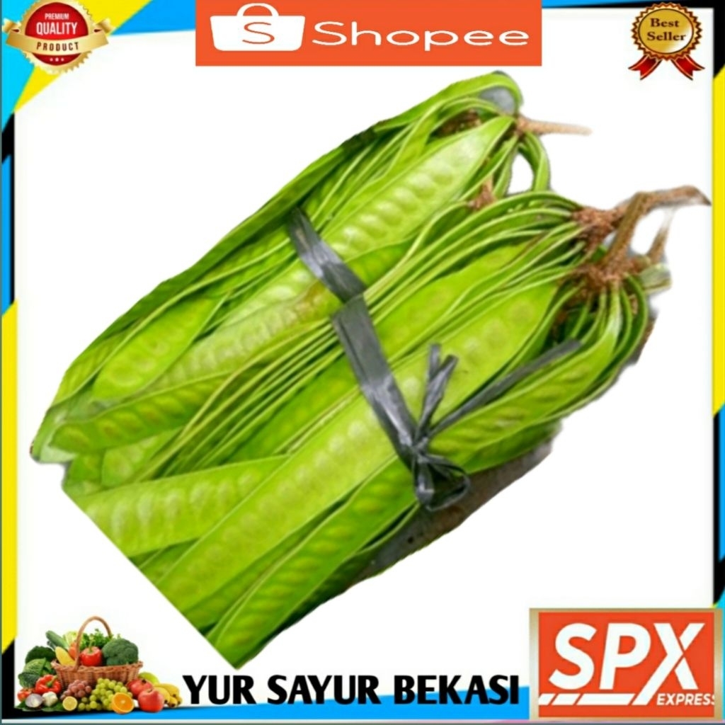 

Pete China / Petai Cina Per ikat.