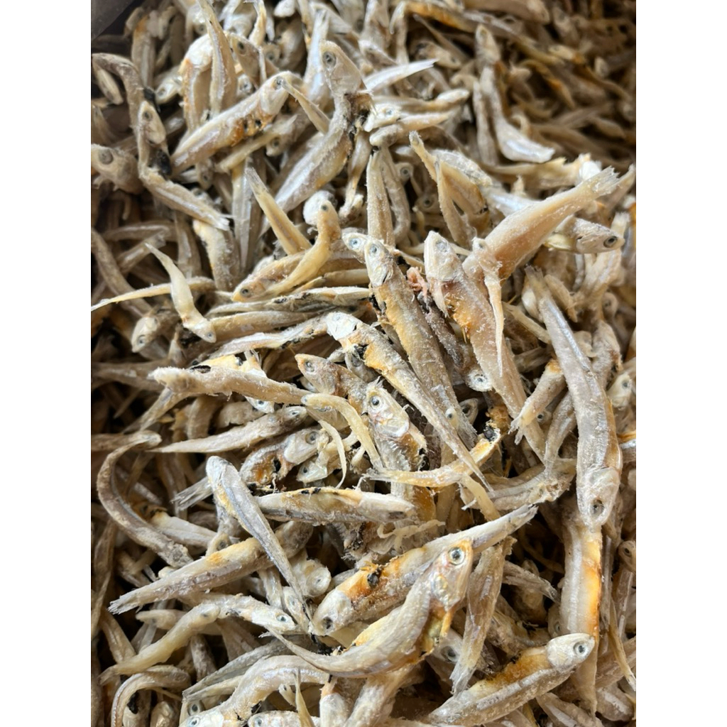 

Ikan Teri Jengki Asin Ikan teri Asin Jengki 500gram kualitas premium Asli Tuban