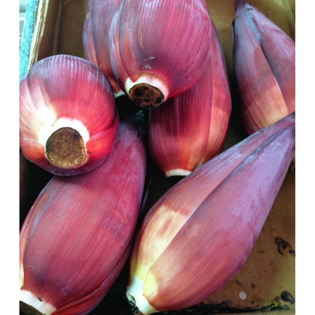 

jantung pisang segar fresh dadakan per buah