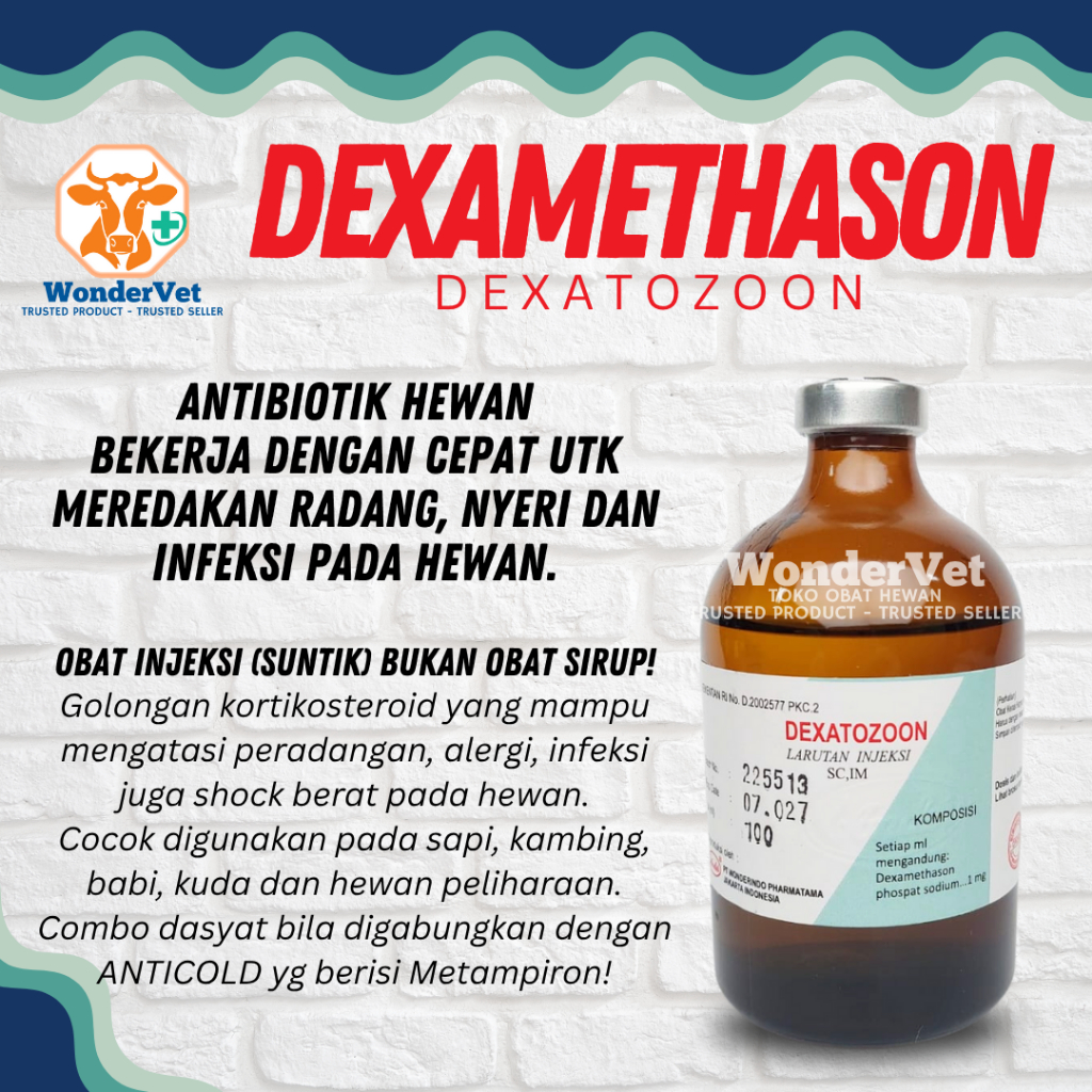 DEXAMETHASON - OBAT RADANG INFEKSI HEWAN - DEXATOZON - ANTIBIOTIK Injeksi/suntik