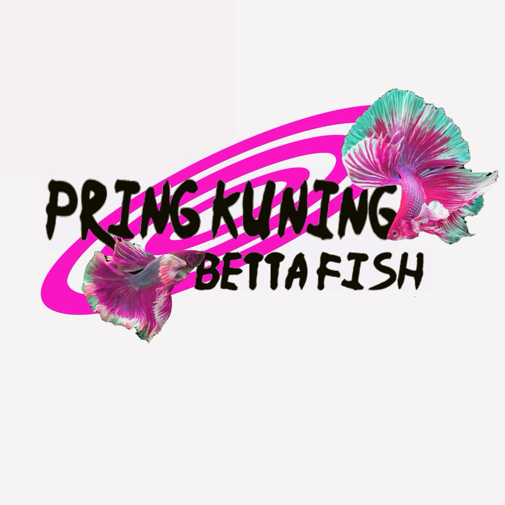HIASAN CUPANG JANTAN SIAPAN 5-6 BULAN PKBF BETTA FISH TERMURAH THAILAND HALFMOON HALFMON GIANT PLAKA
