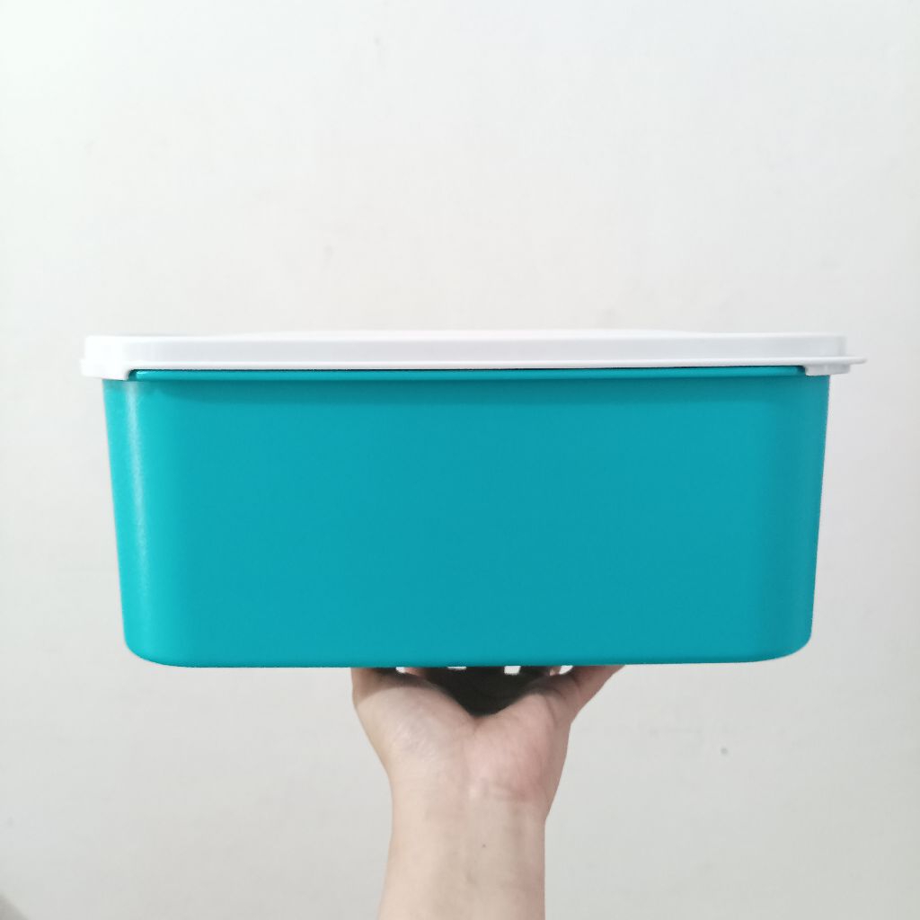Treasure Keeper Tupperware - 4.3 L || MM Rectangular 2 Tupperware - Tosca