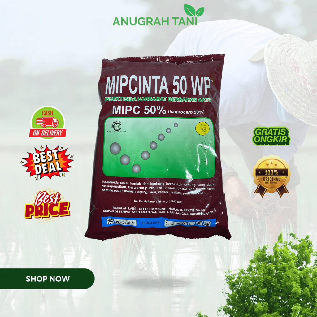 MIPCINTA 500GR Insektisida mampu mengendalikan hama-hama penting pada tanaman padi jagung kedelai ko