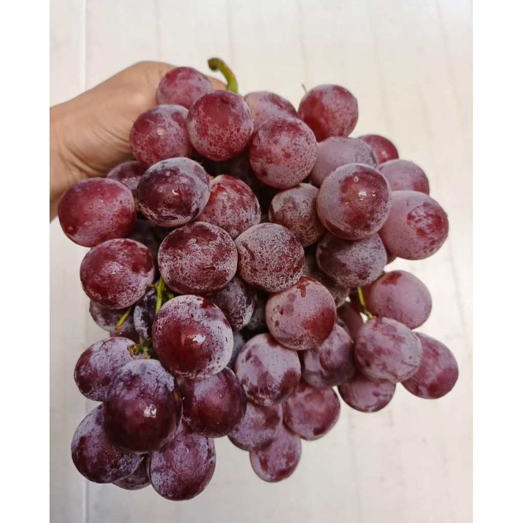 

Anggur Red Globe China Yuji /kg