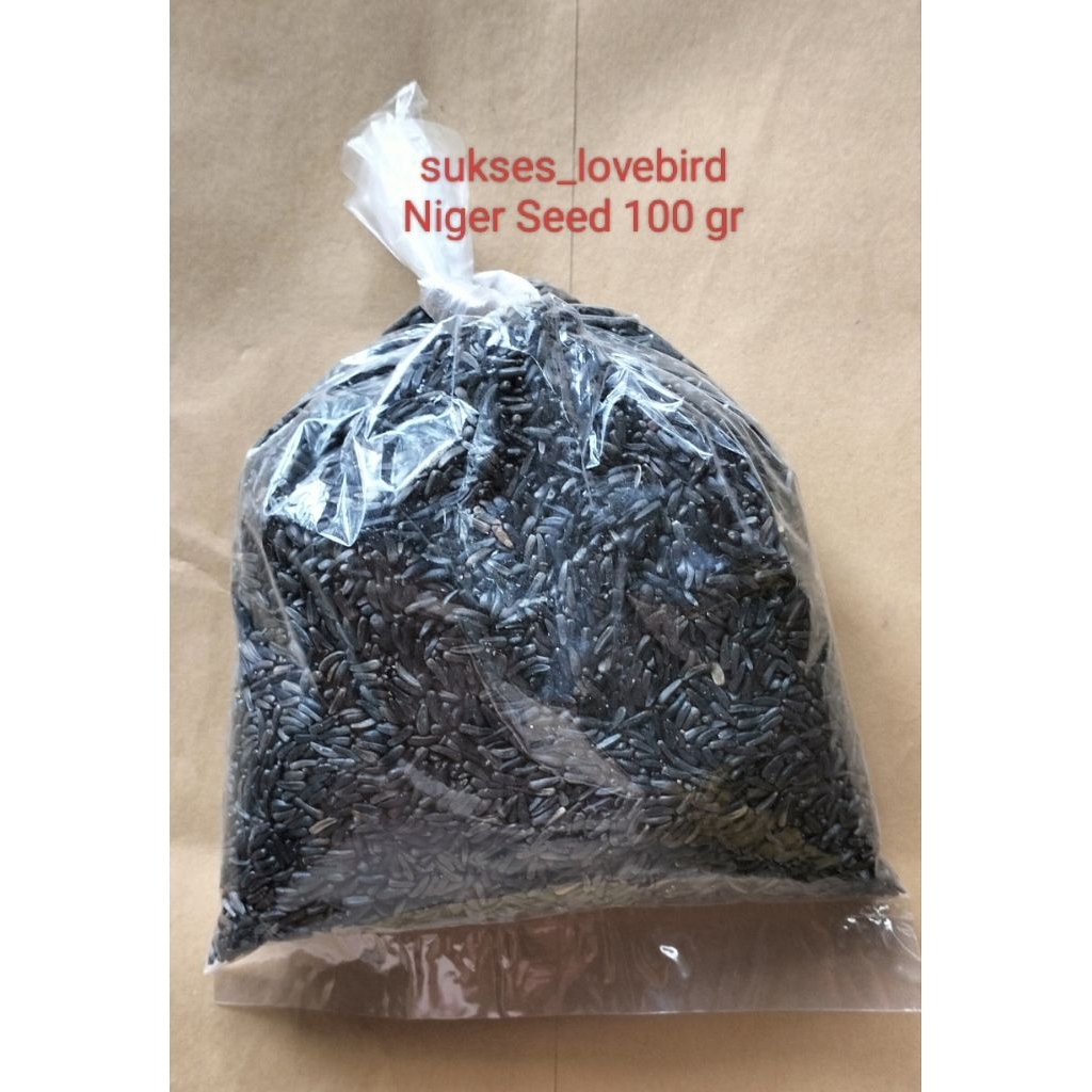 Niger Seed 100gr biji niger pakan kenari siskin