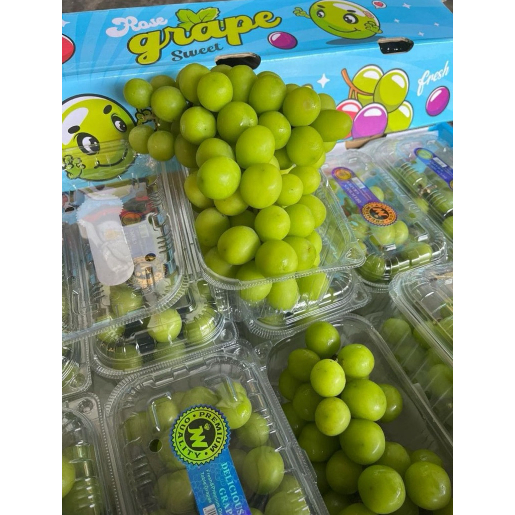 

anggur tanpa biji manis 500 gr/tepak