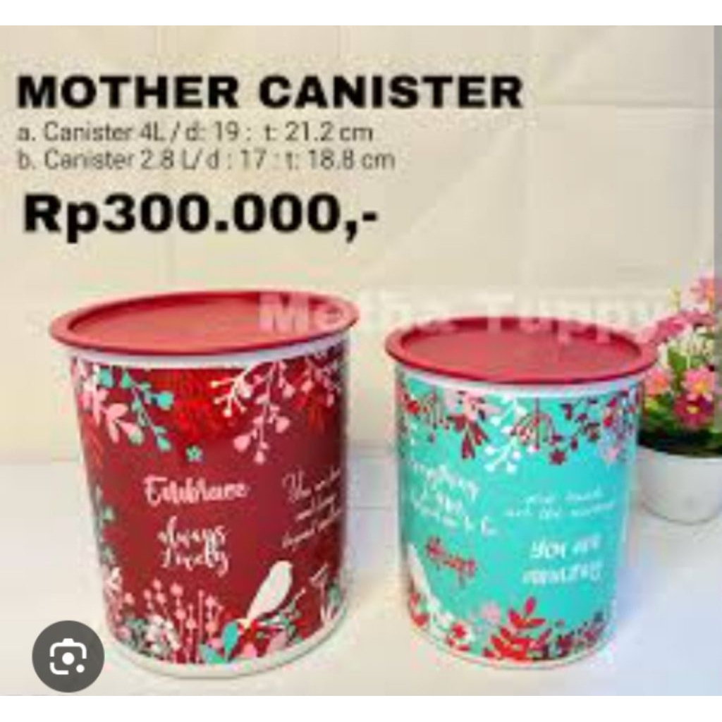 toples motif tupperware " mother canister'