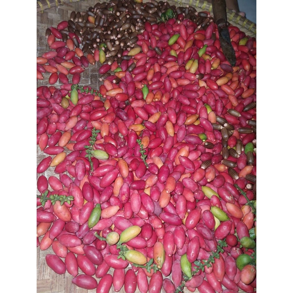 

kulit melinjo mentah 1kg