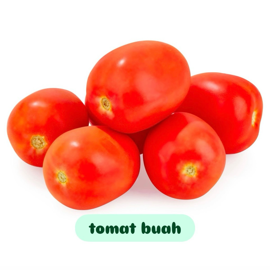 

Tomat buah besar & fresh 250g/500g/1kg