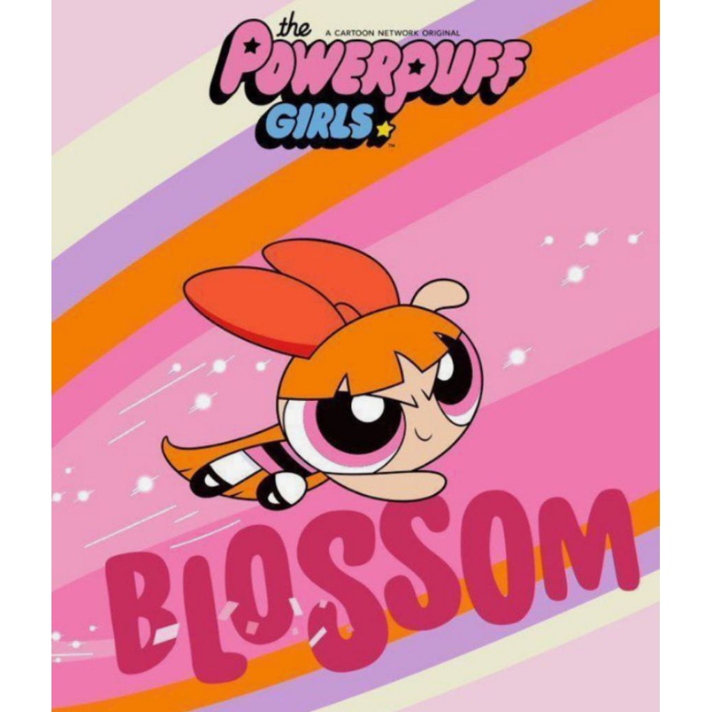 Sb Dunk low pro x Powerpuff girls 'Blossom'