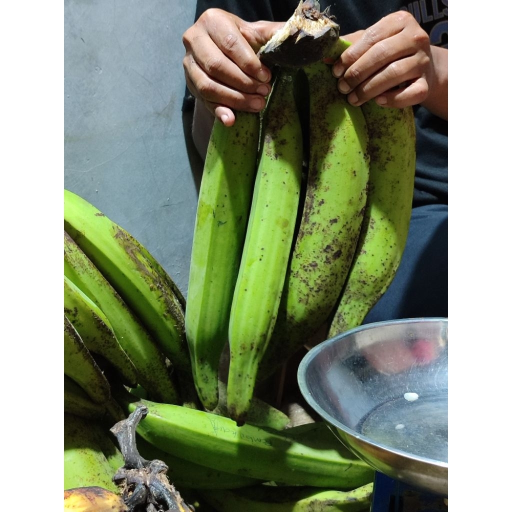 

PISANG TANDUK MADU/GALEK PER 2kg
