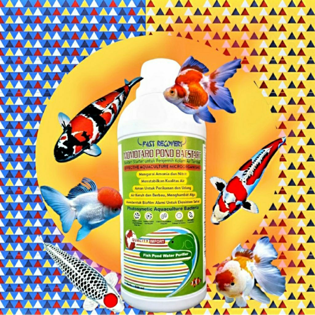 Momotaro Pond Bacstar 500ml | Bakteri Starter Penjernih Kolam Koi | Probiotik Bakteri Baik