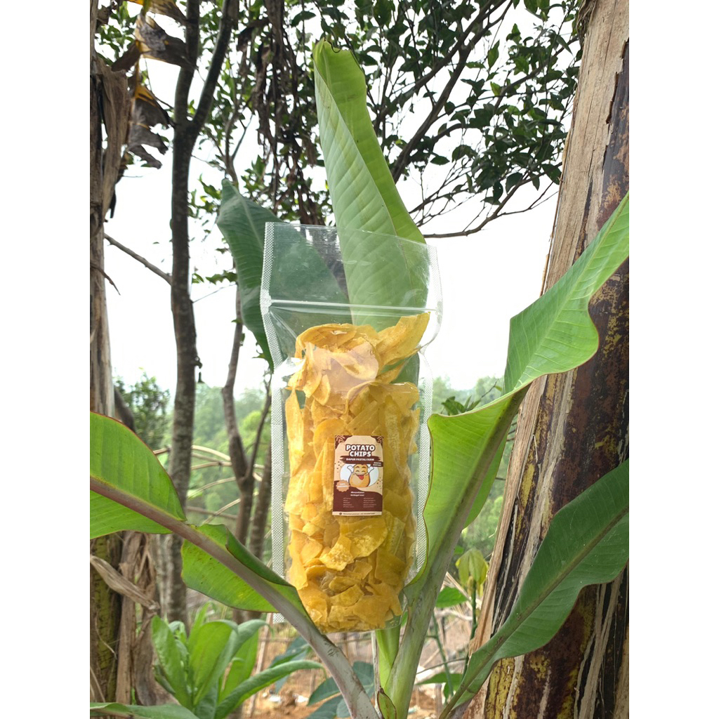 

keripik pisang renyah,gurih isi 500g bikin anda ketagihan