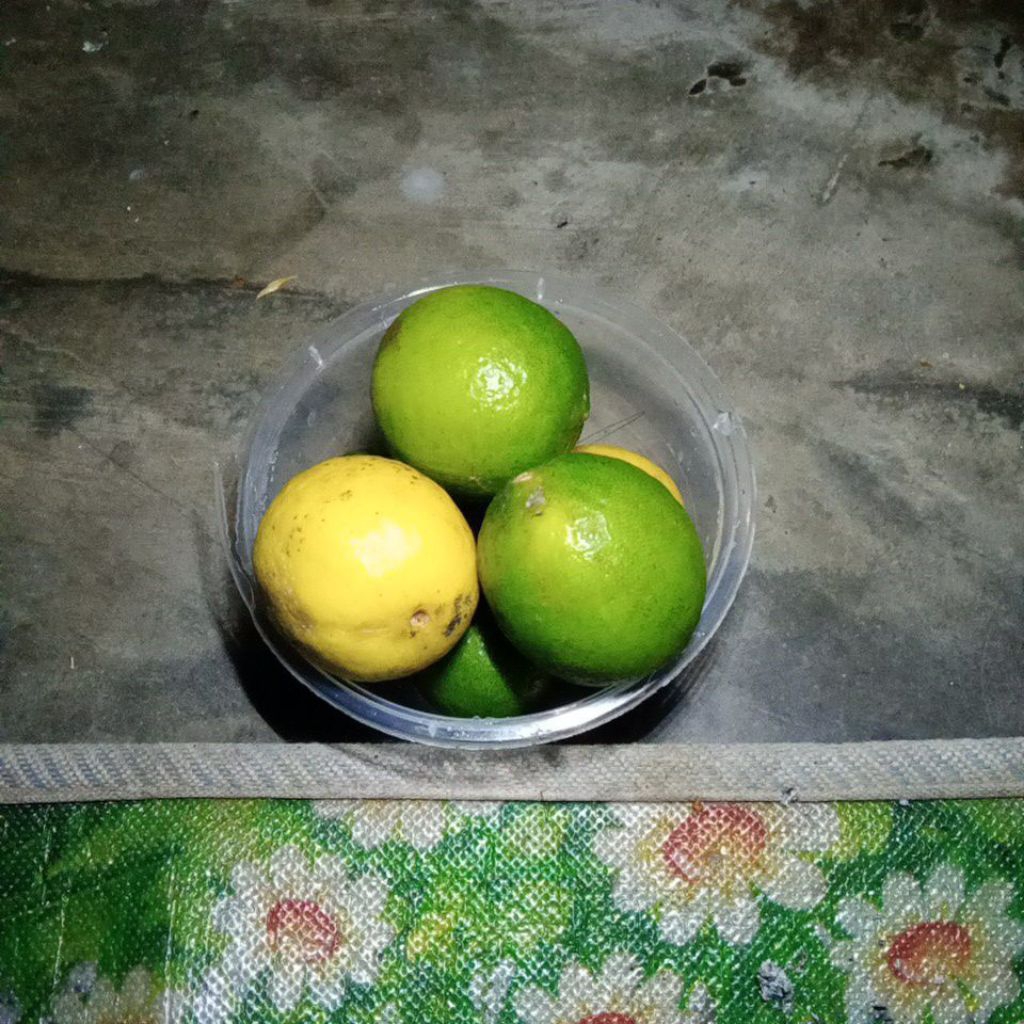 

jeruk nipis segar,/3 pcs