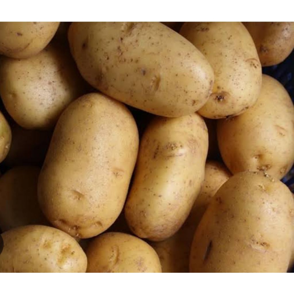 

Kentang segar/Potato