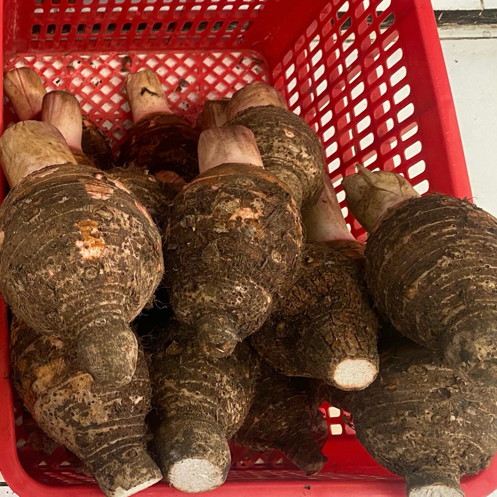 

Talas Pratama 2 Berat 1kg