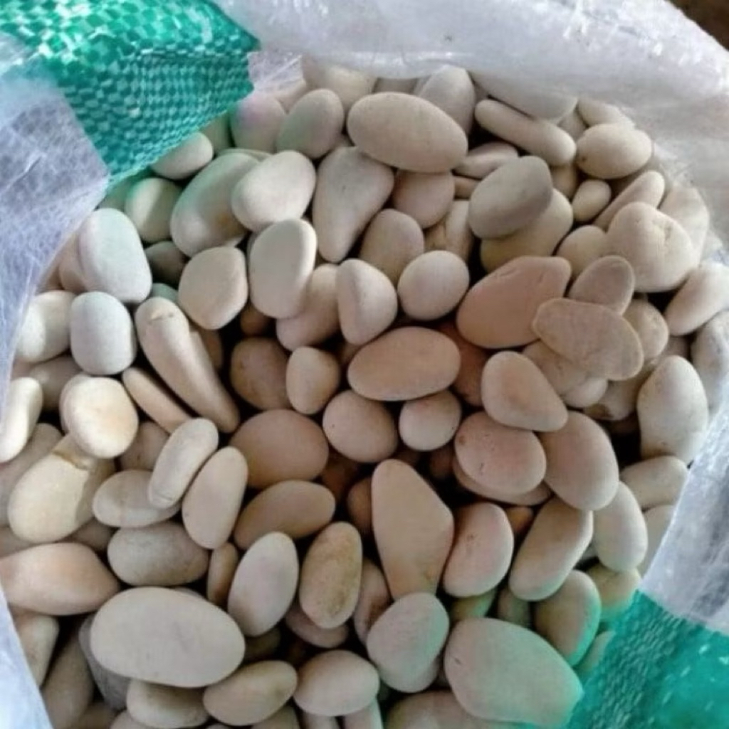 batu koral putih kupang