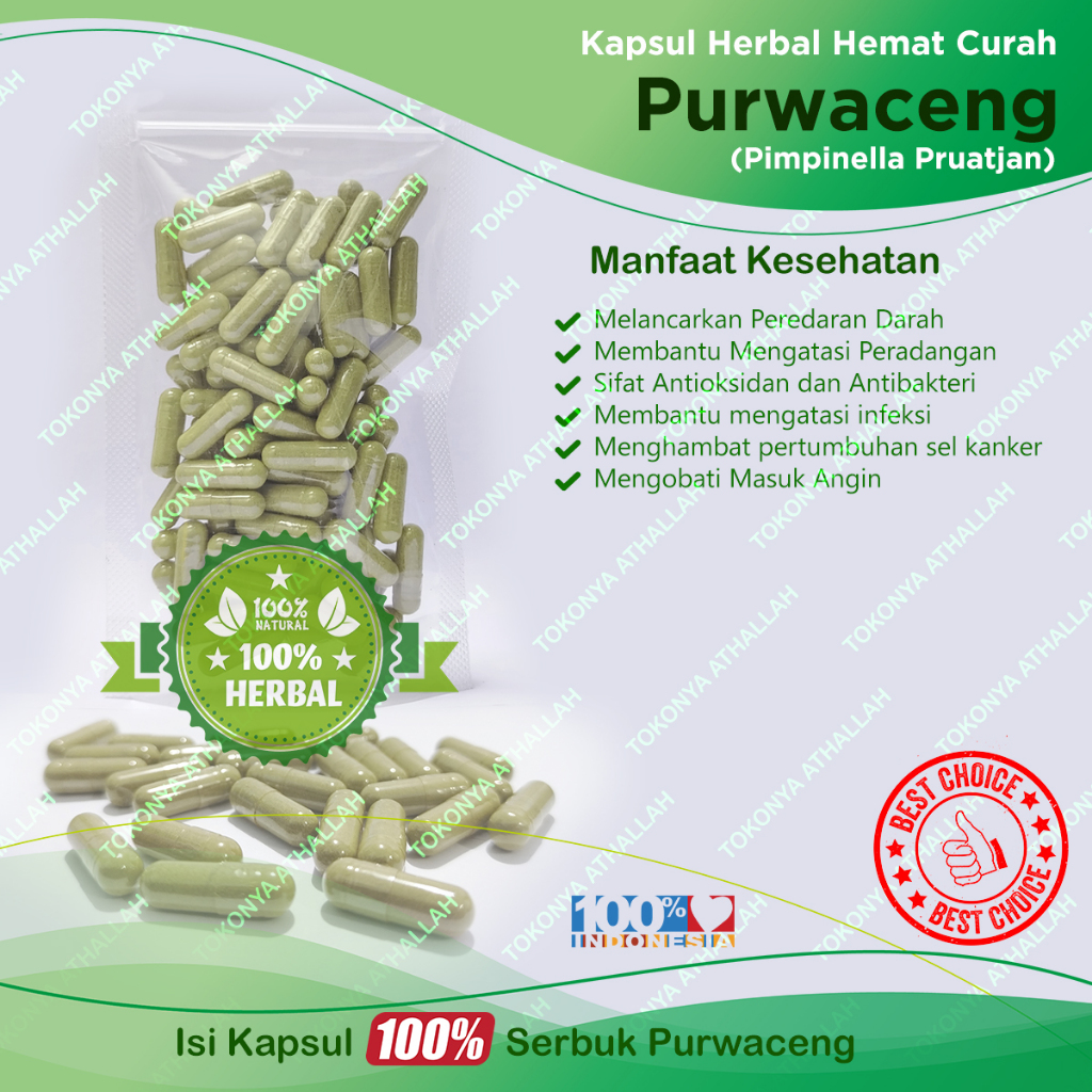 Kapsul PURWACENG Herbal Hemat Curah