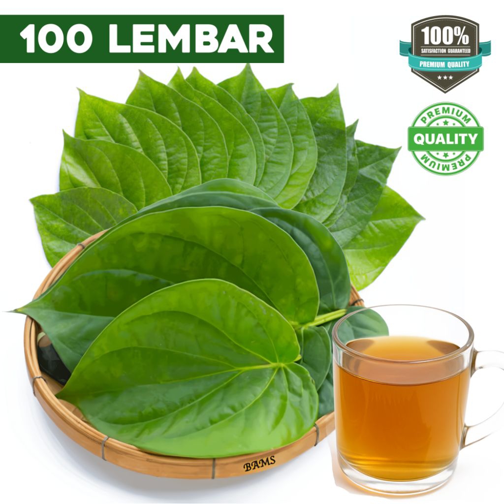 

DAUN SIRIH SEGAR HERBAL ALAMI ISI 100 LEMBAR DAUN SIRIH