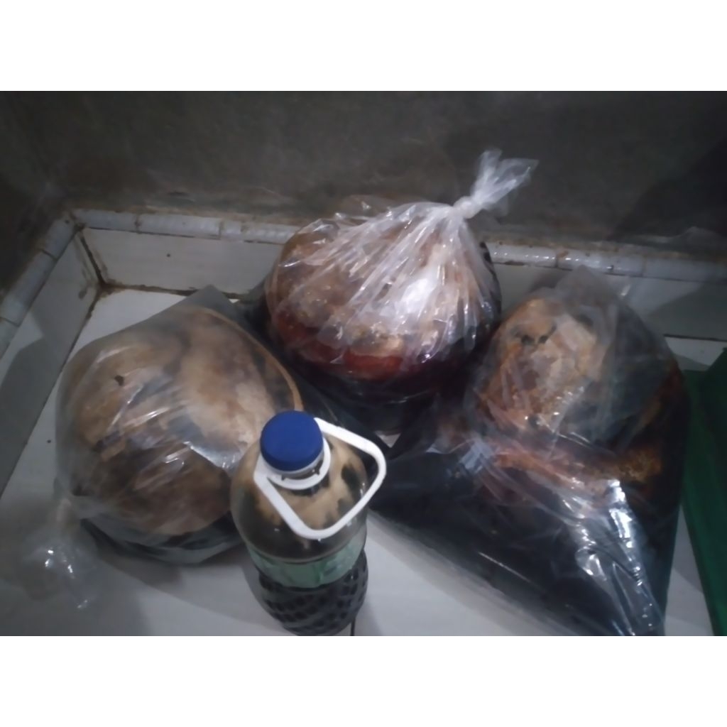 

Madu Hutan Liar Apis Dorsata 500 gram