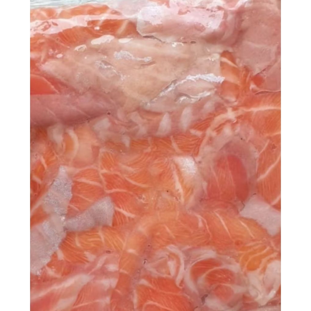 

scrape salmon fresh