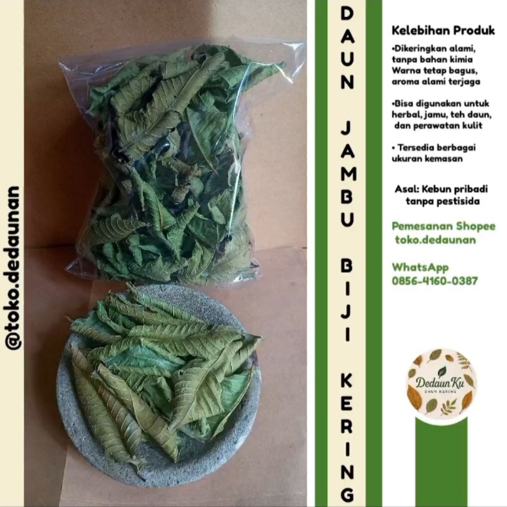 

Daun Jambu Biji Kering Asli – Obat Diare & Kesehatan Pencernaan