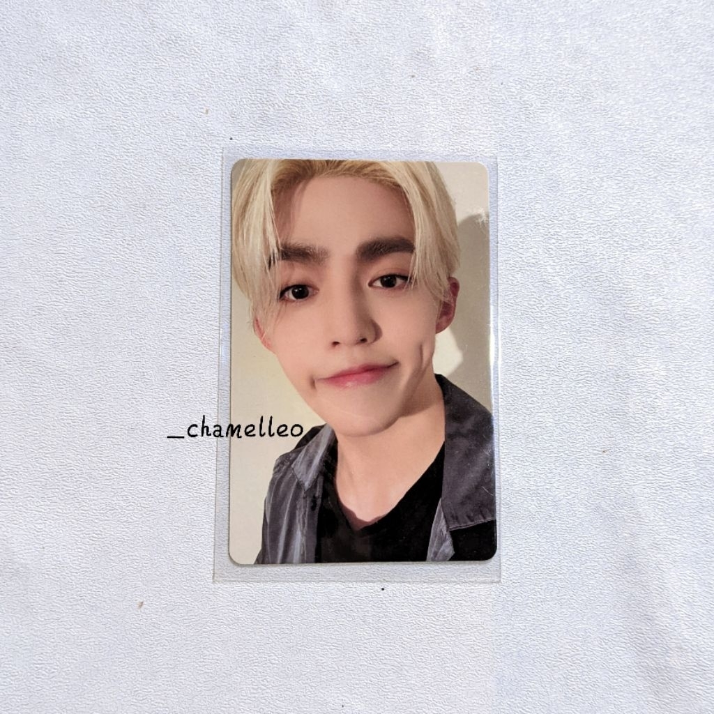 PHOTOCARD OFFICIAL SEVENTEEN SG 24 (scoups)