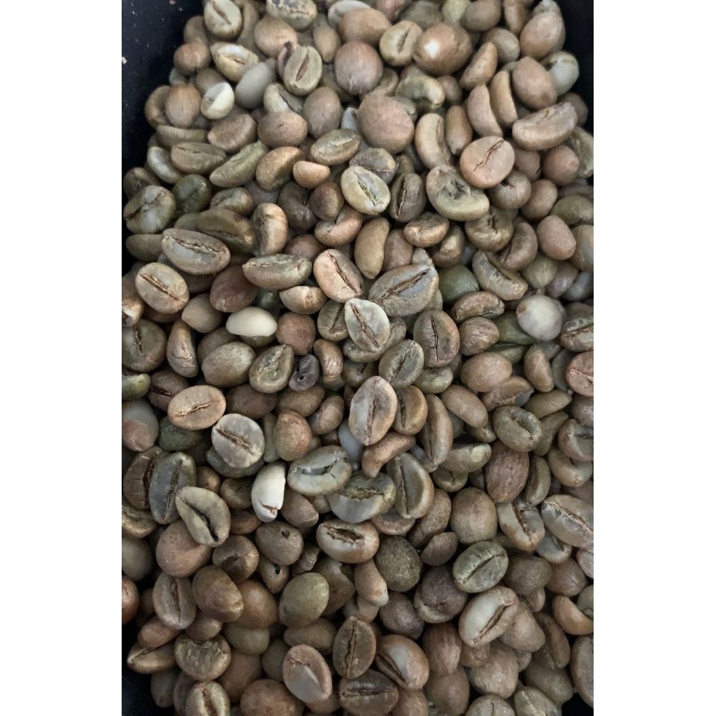 

Greenbean ROBUSTA Natural Garut Grade 1 / Biji Kopi Mentah 1Kg Origin Gn. Guntur