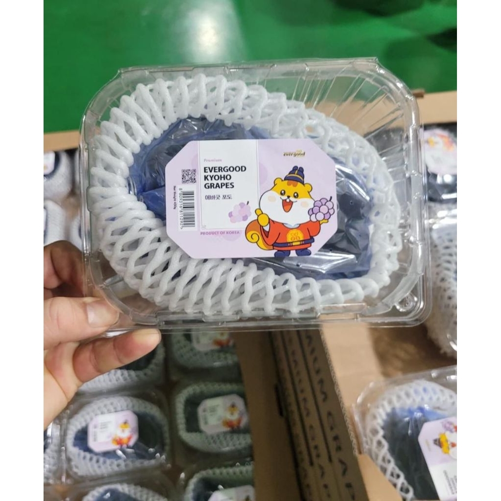 

anggur kyoho korea berat 450 grm