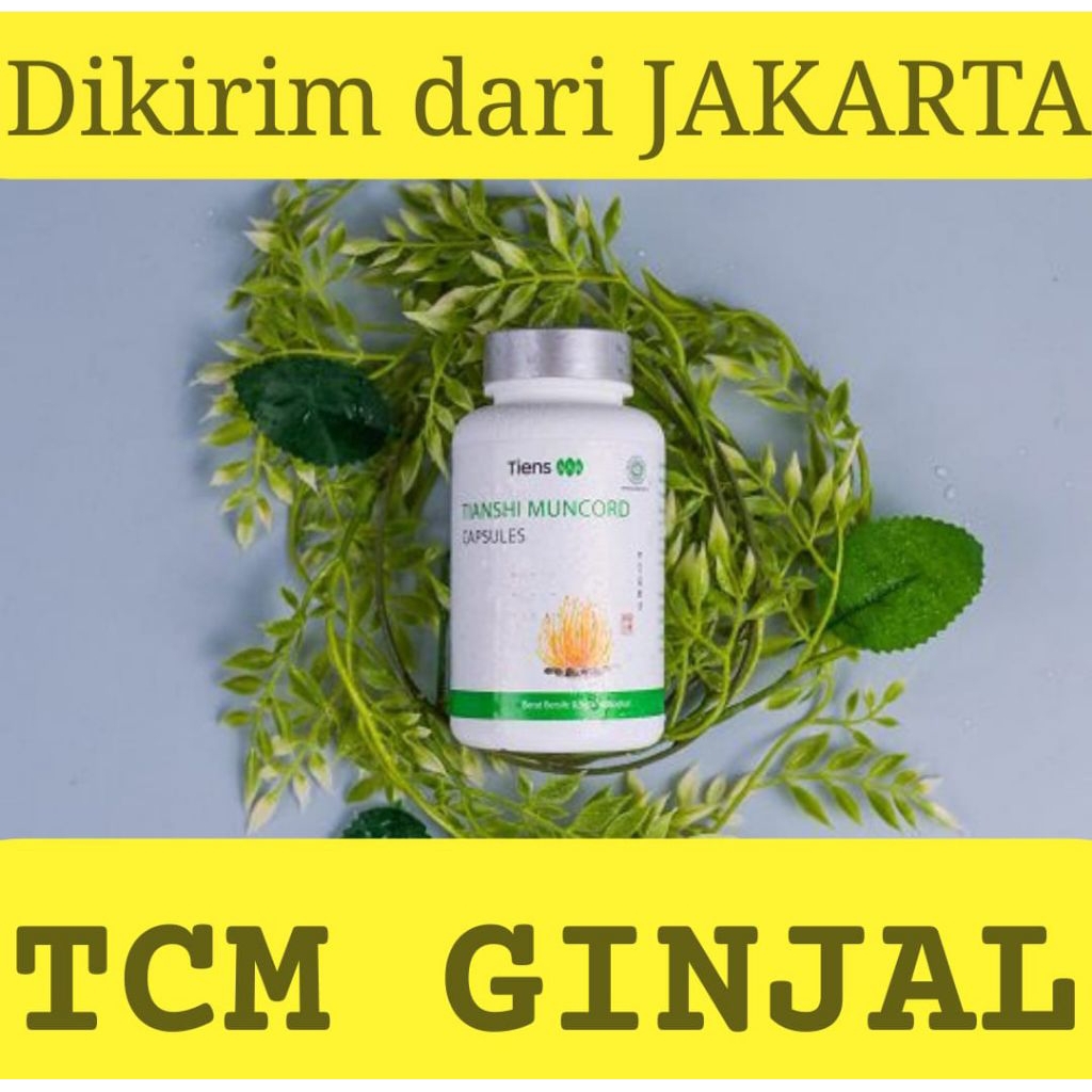TCM Ginjal Muncord Gangguan Fungsi Ginjal Batu Ginjal Gagal Ginjal TCM Herbal Premium China Fitofarm