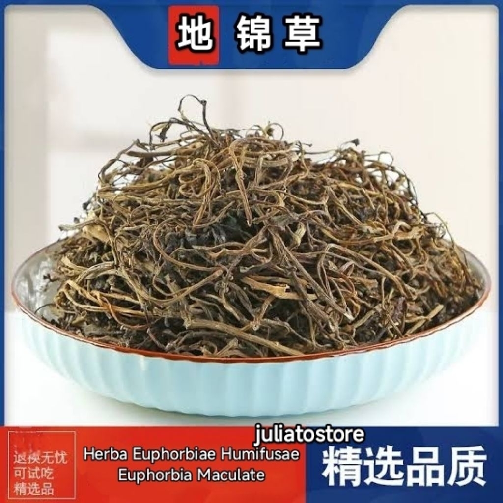 

50g herba red euphorbiae humifusae di jin cao red euphorbia maculate