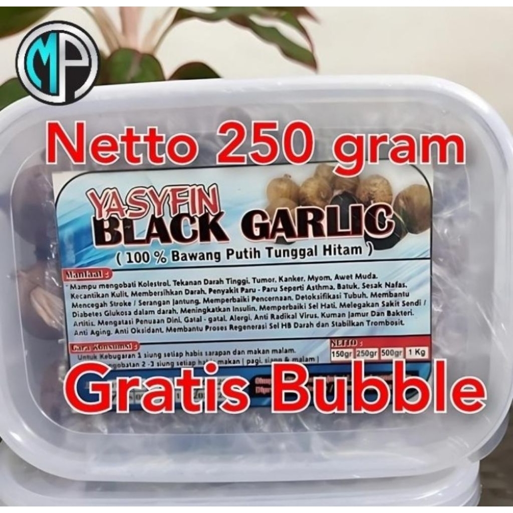 

Bawang putih tunggal (Bawang garlic lanang)