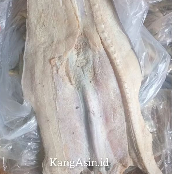 

ASIN CUCUT KULIT/ikan asin cucut 250gr