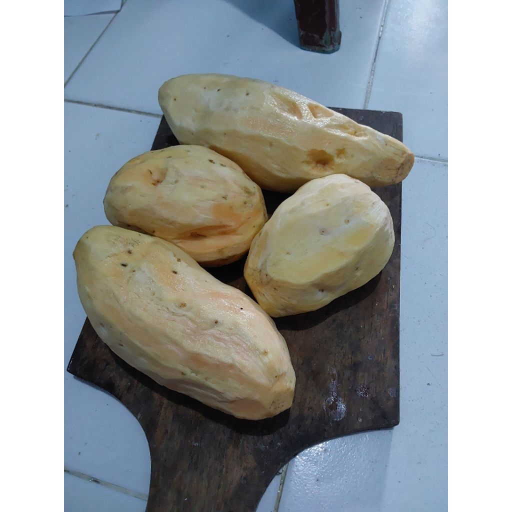 

TELO UBI JALAR KUNING PUTIH CILEMBU UNGU RANDOM