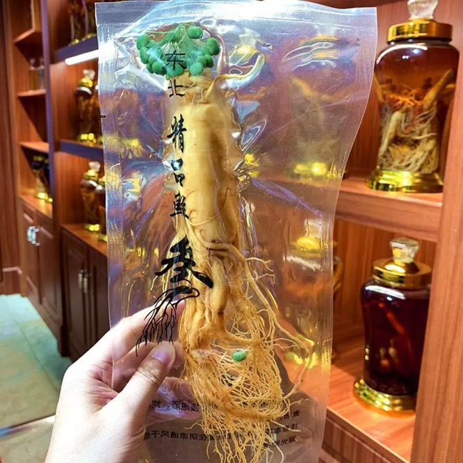 

Ginseng Segar 100gr Akar Ginseng Kemasan Vacuum