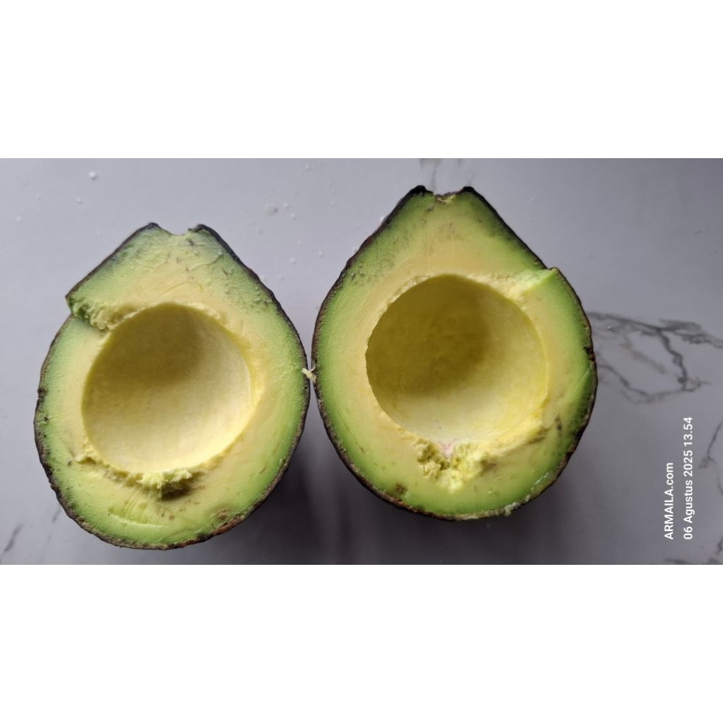 

Buah Alpukat/Alpokat/ Pokat Mentega Gayo Alpukat Susu