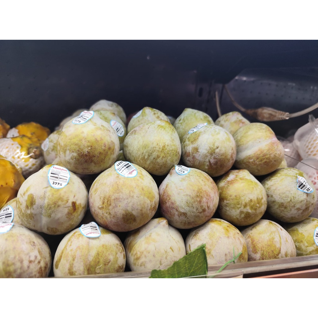 

Plum green sweet USA - Buah plum hijau super mania USA 500grm