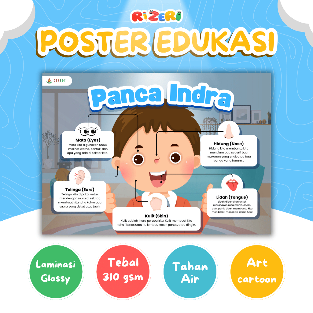 Poster Edukasi Panca Indra Pendidikan Anak Wipe and Clean PAUD TK SD
