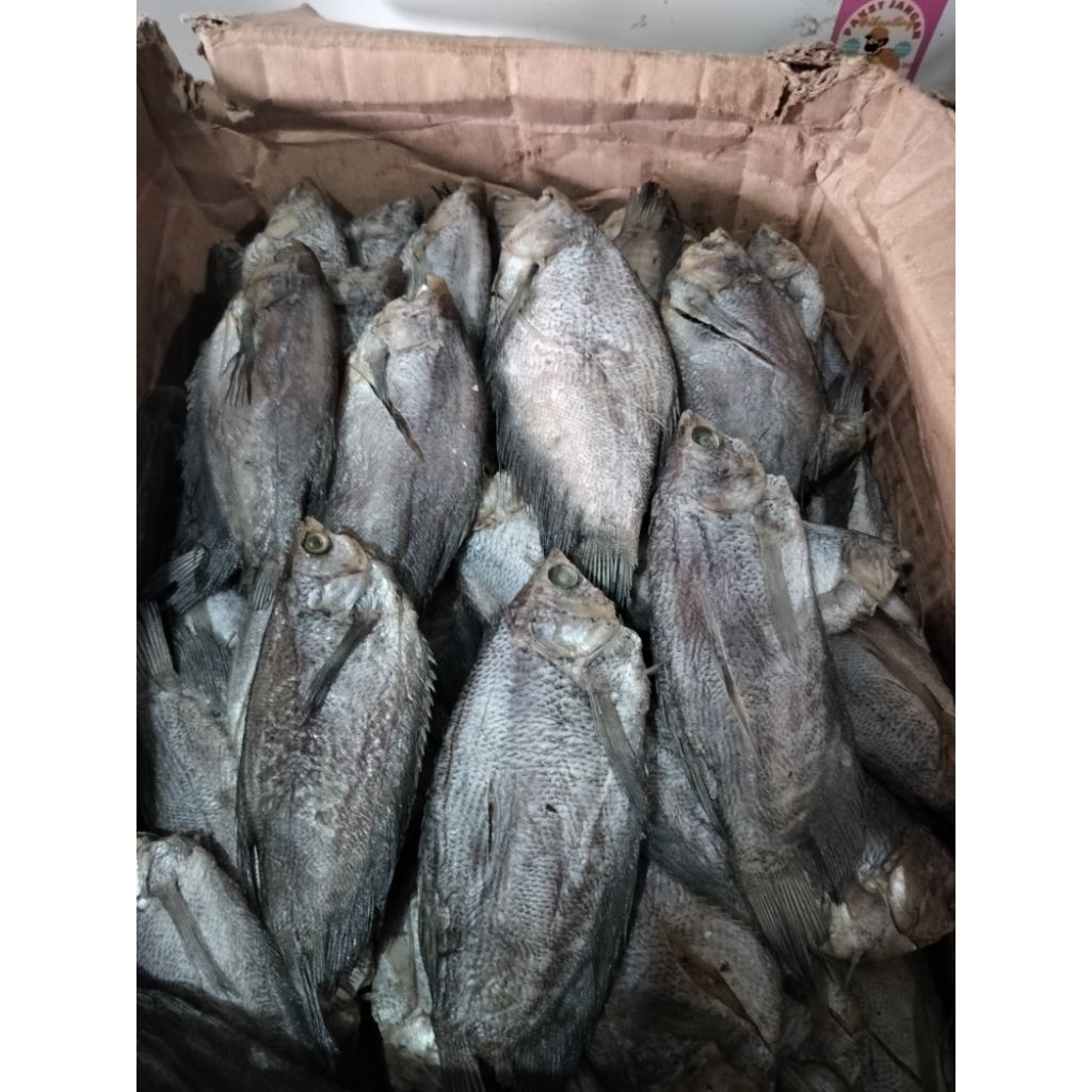 

IKAN ASIN SEPAT SIAM SUPER ♛ Ikan asin sepat siam tawar dusun/sepat palembang kualitas premium
