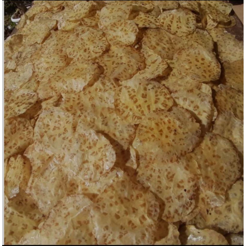 

Kerupuk Jengkol/Karupuak Jariang/100% Jengkol/250gr/Kota Solok