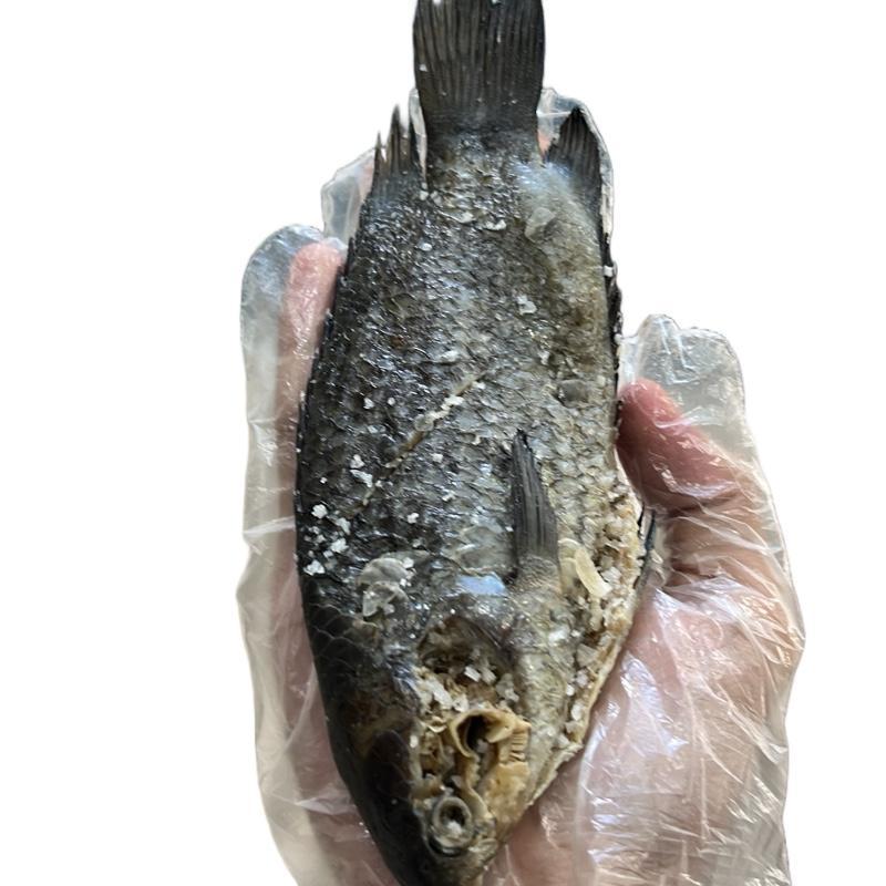 

WADI PAPUYU PREMIUM – Rasa Asli Banjar, Enak, Gurih, dan Tahan Lama