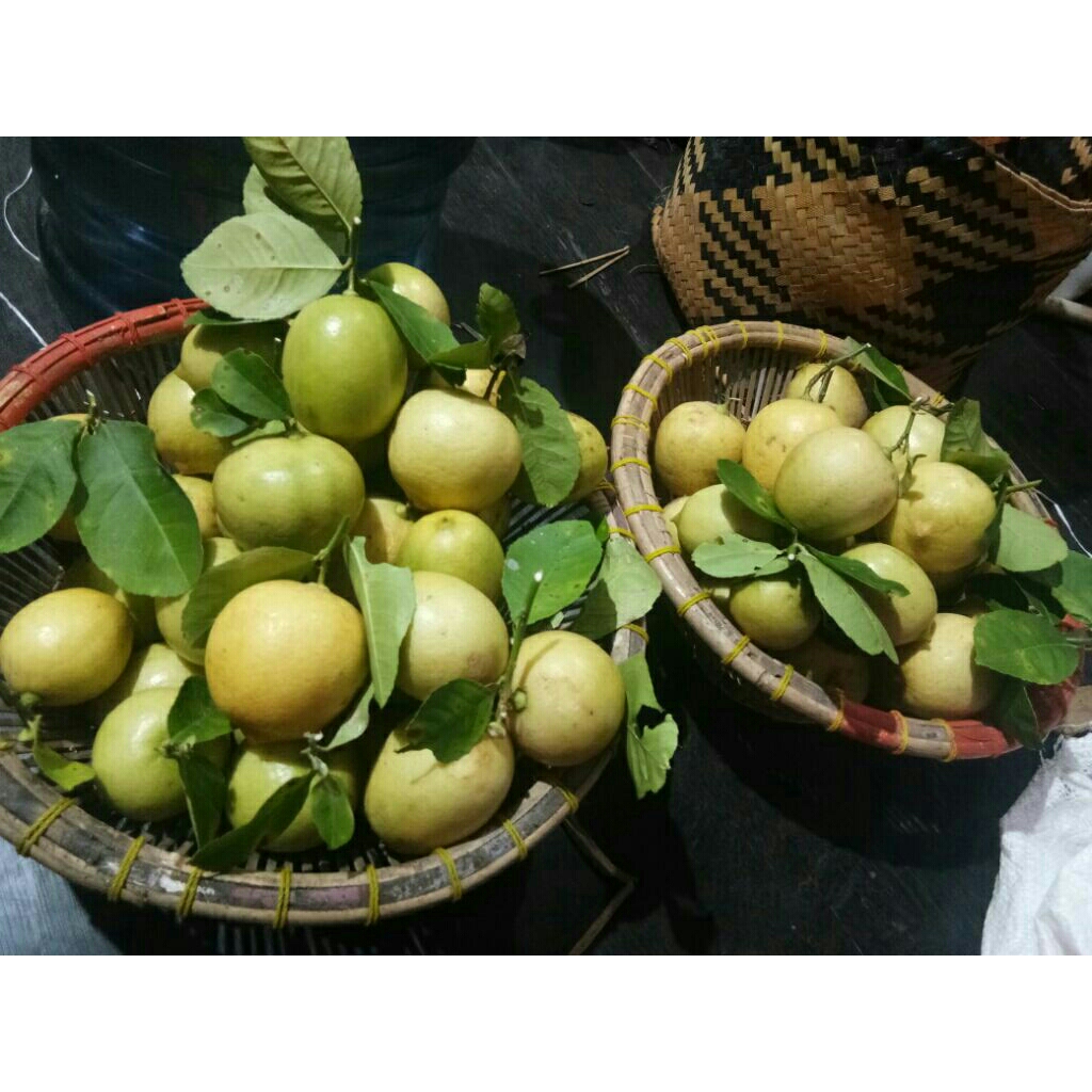

lemon lokal segar 1kg
