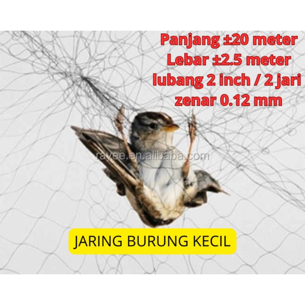 jaring burung kecil lubang 2 inch / 2 jari panjang ±20 MTR lebar ±2.5 MTR senar 0.12 JARING HITAM JA