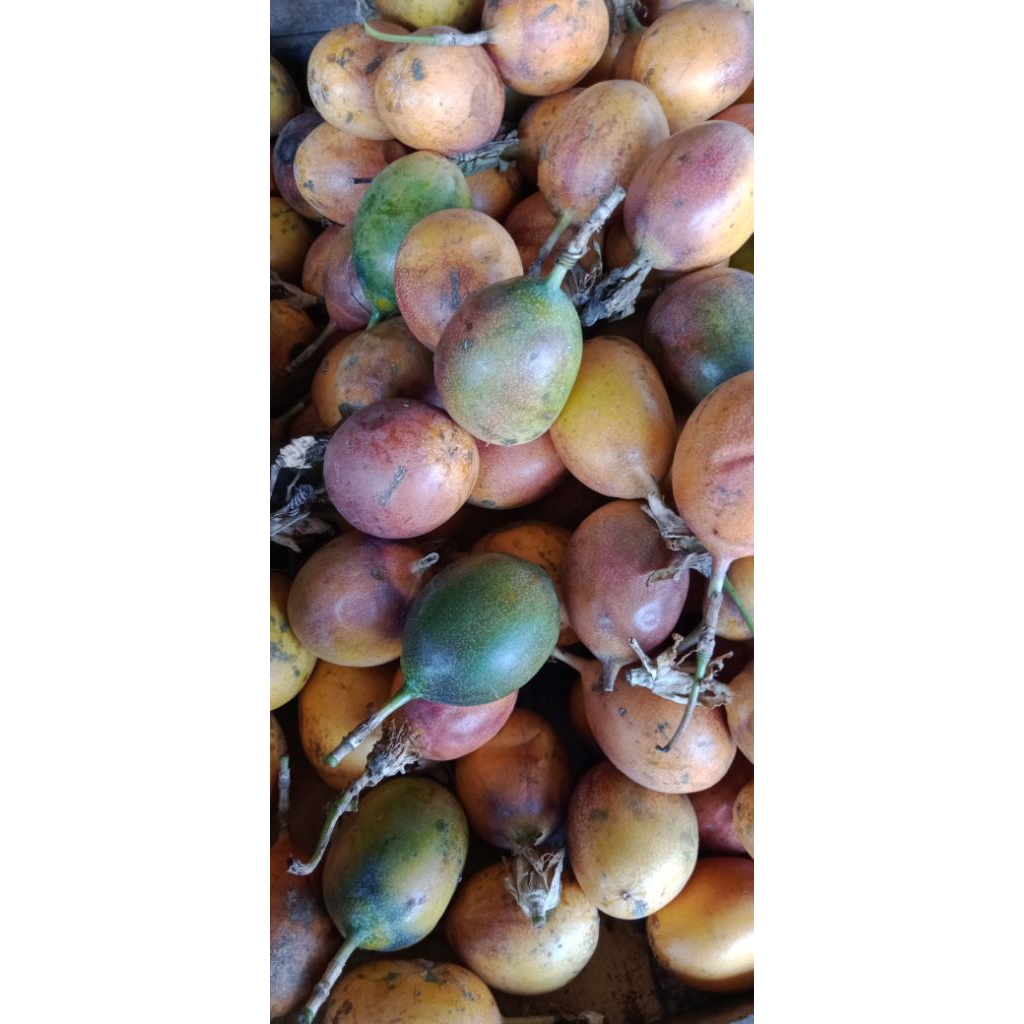 

Markisa Bandung 500 gram