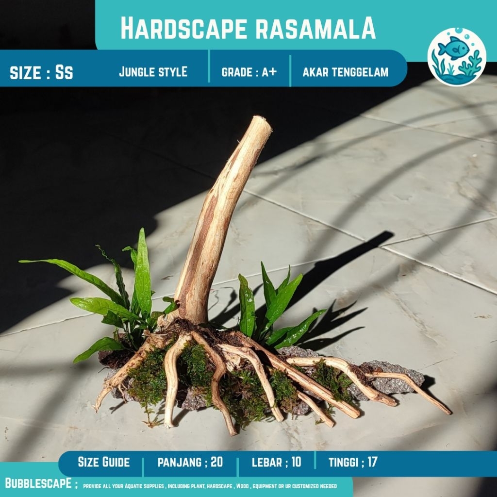 HARDSCAPE AKAR SIZE MINI (Ss) Jungle Style |Ornamen Hiasan |Tanaman Aquatic |Akar Tenggelam |Aquasca